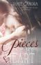 [Pieces 02] • Pieces of my Heart